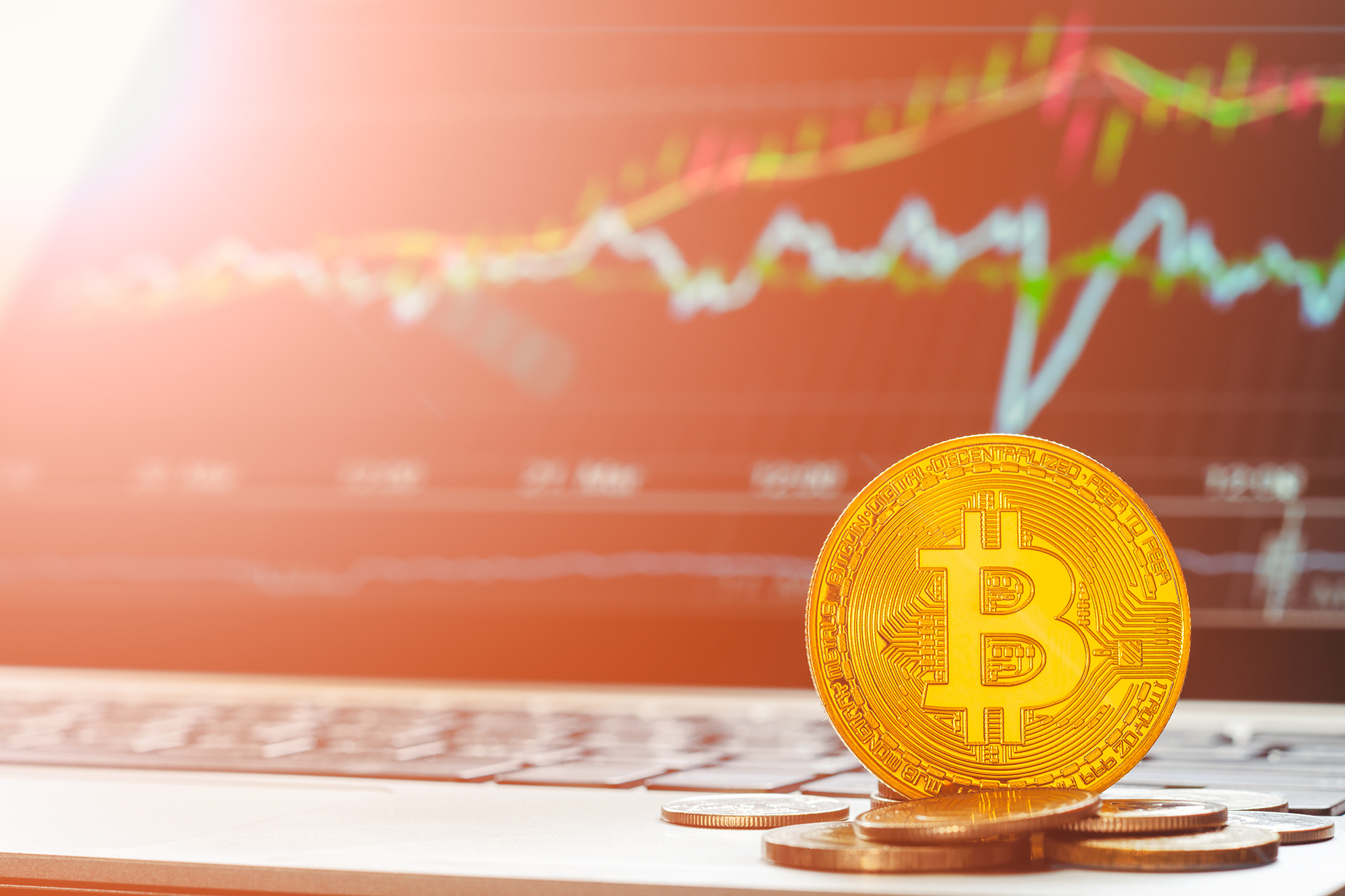 bitcoin falso di trading