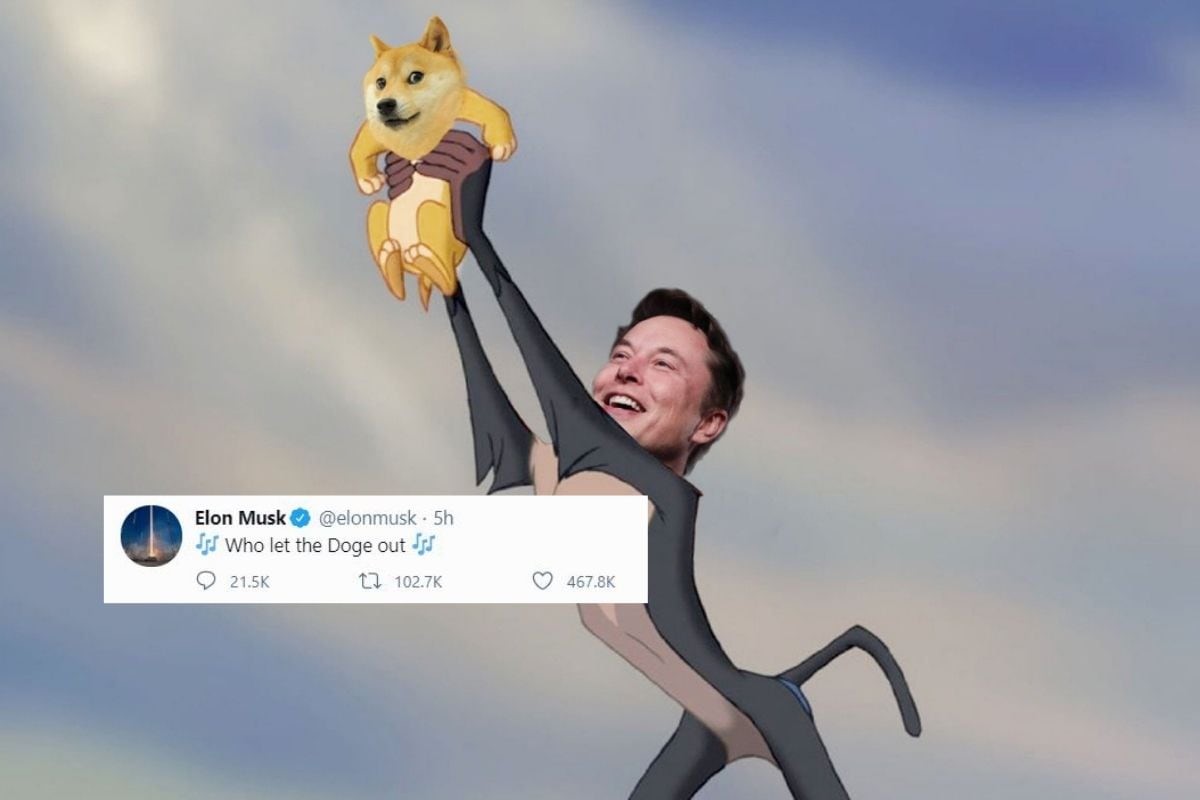 Elon Musk Doge Meme - Blackwell Global - Forex Broker ...